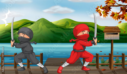 Two ninjas