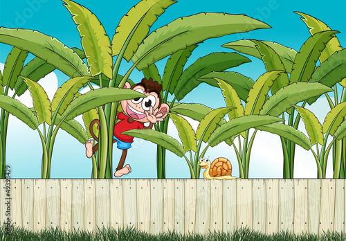 A monkey climbing at the banana plant