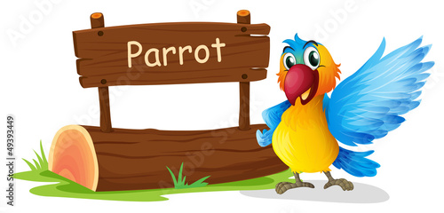 A colorful parrot beside a signboard