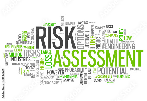 Word Cloud "Risk Assessment"