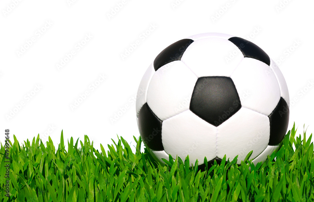 Fototapeta premium soccer ball