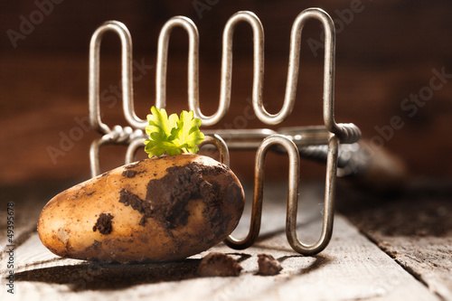 Fresh earthy farm potato and masher photo