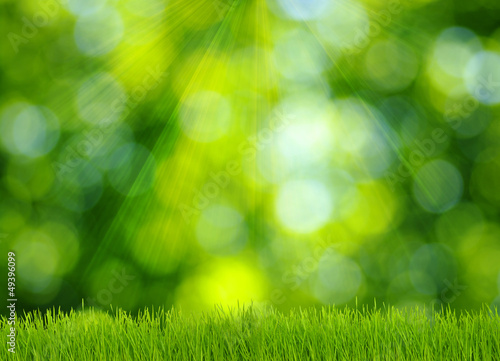 grass and green background