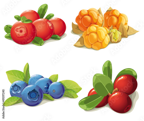 set of mature berries