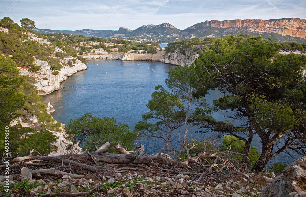 view of the sea and the bay Calanques in Cassis