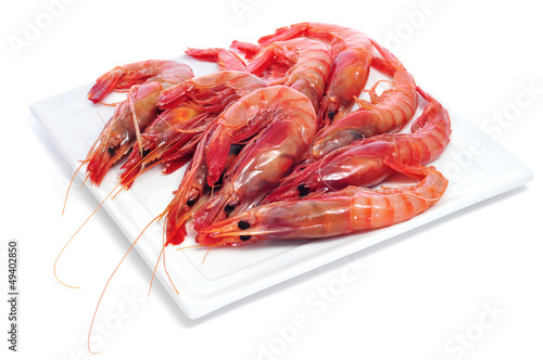 Fotografía raw shrimps