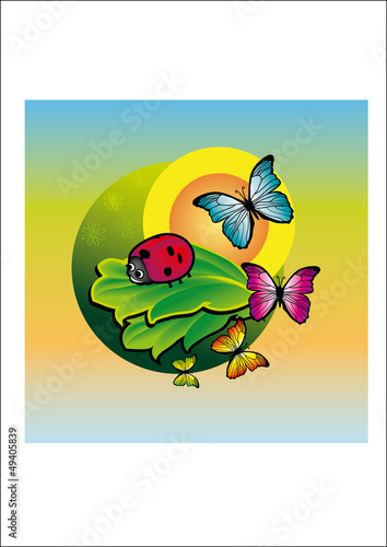 ladybird