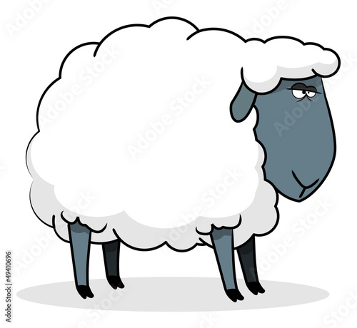 mouton