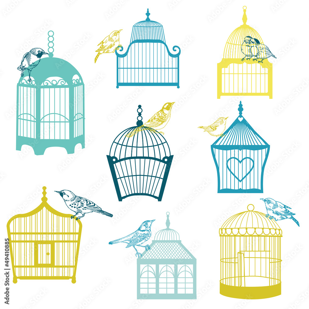Birds and Birdcages Collection - for design or scrap -vector