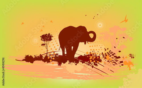 background from elefant adn birds