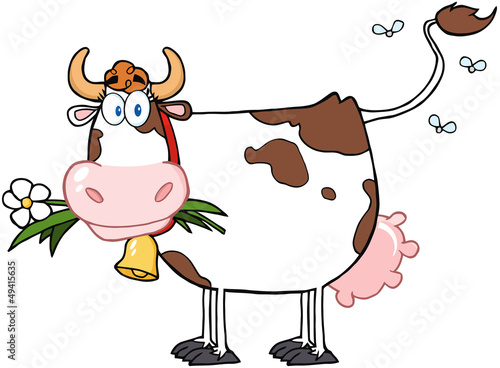 Dairy Cow With Flower In Mouth