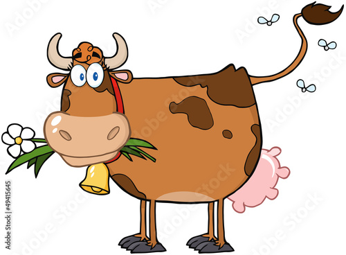 Brown Dairy Cow With Flower In Mouth
