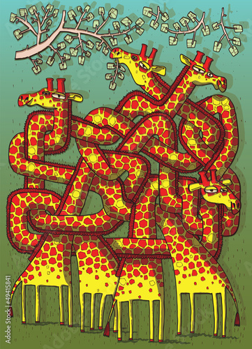 Photography Giraffes Maze Game