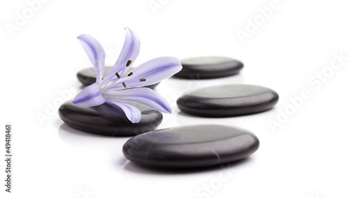 Spa stones.