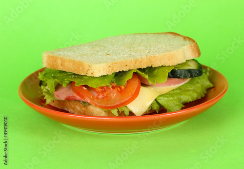 Sandwich on plate on green background