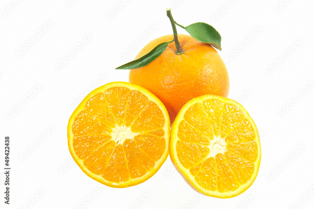 Orange on a white background Orange on a white background