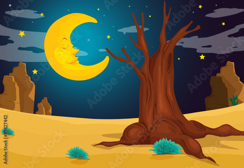 A moonlight evening