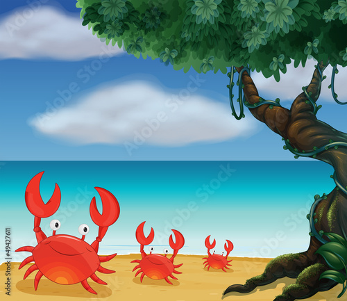 Three crabs at the seashore © GraphicsRF