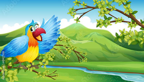 A big and colorful parrot near the river