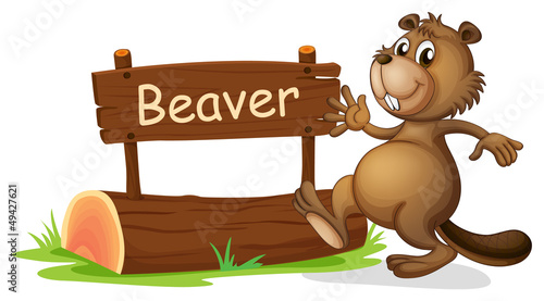A beaver beside a wooden signage