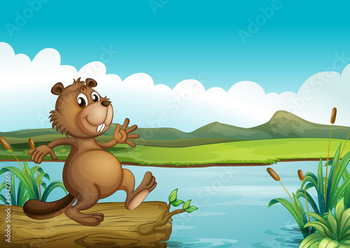 A beaver above a floating wood