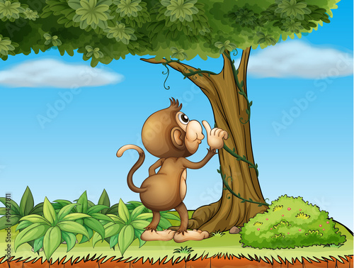 A monkey watching a tree