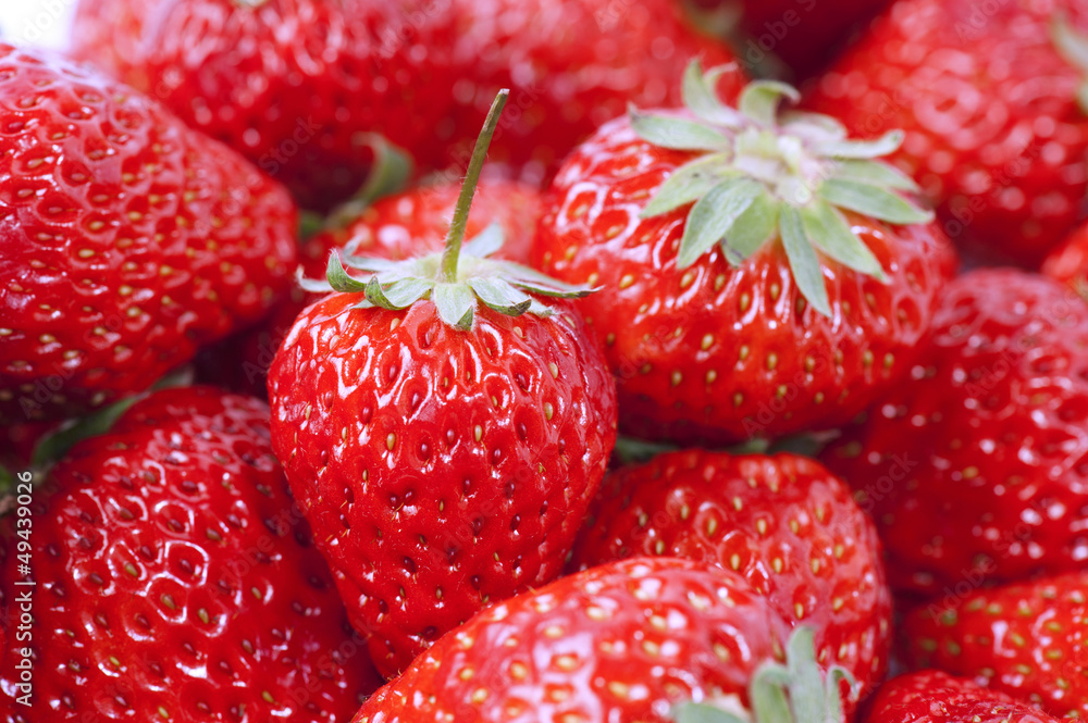 Fresh strawberries Fresh strawberries