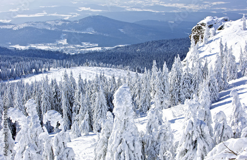 Foto Winterlandschaft am grossen Arber, Bayerischer Wald
