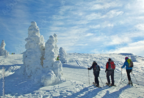 Bild auf Leinwand Winter am Grossen Arber im Bayerischen Wald