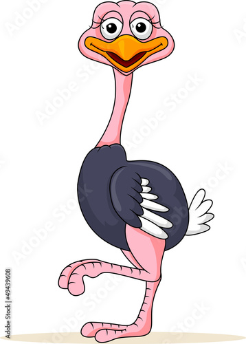 Funny ostrich cartoon