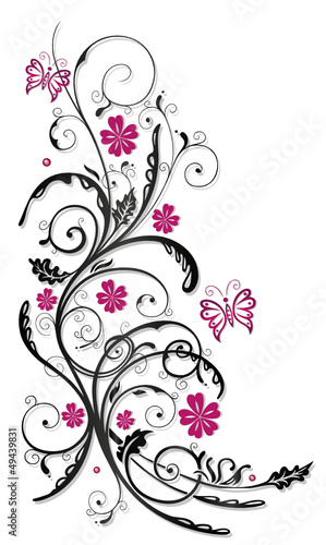 Ranke, flora, Blüten, Schmetterlinge, schwarz, pink