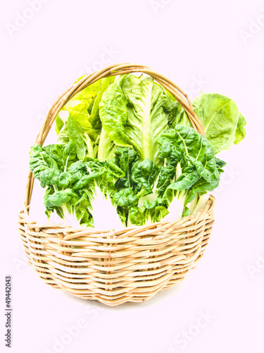 Fresh  baby bok choy and cos salad in ratten basket isolated on