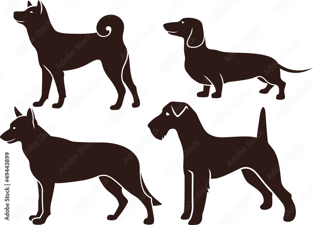 Set of images of dogs