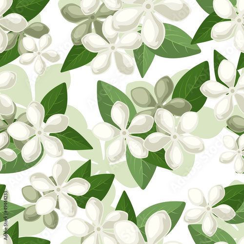 Seamless background with white flowers. Vector illustration. © naddya