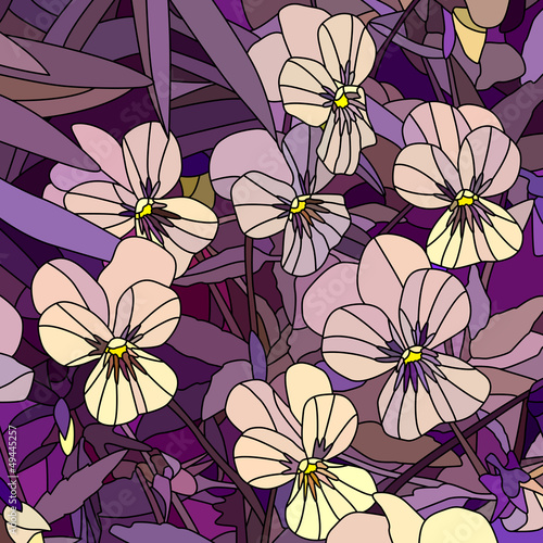 Vector illustration of flowers pale yellow violet (Pansy).