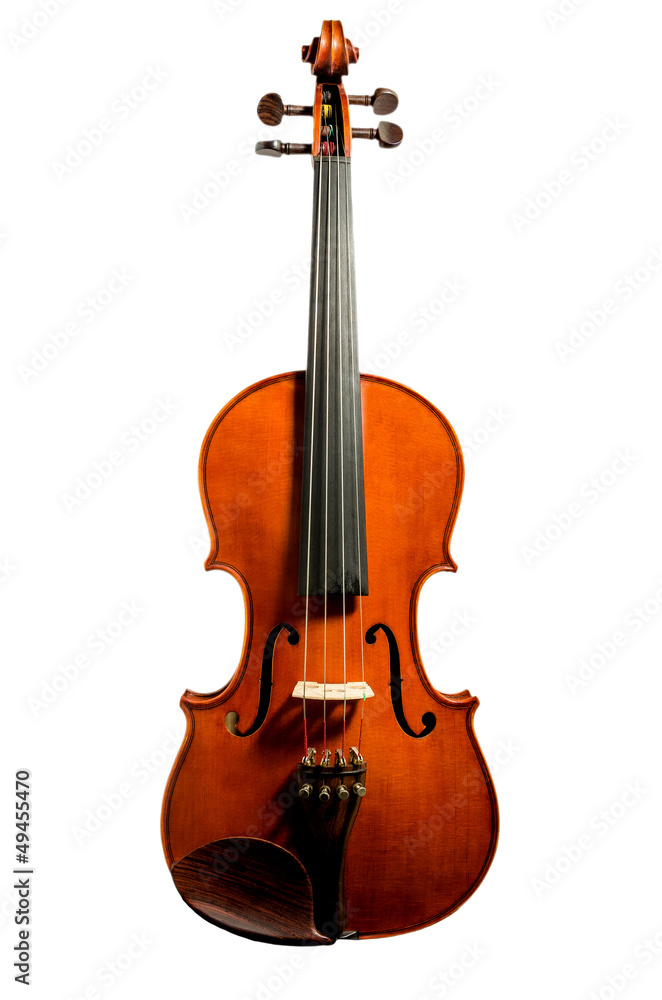 violin isolated on white background violin isolated on white background