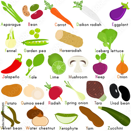 Vector Icons of Vegetable with Alphabet A to Z