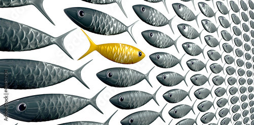 Quadro su tela Fish School Against The Grain Perspective