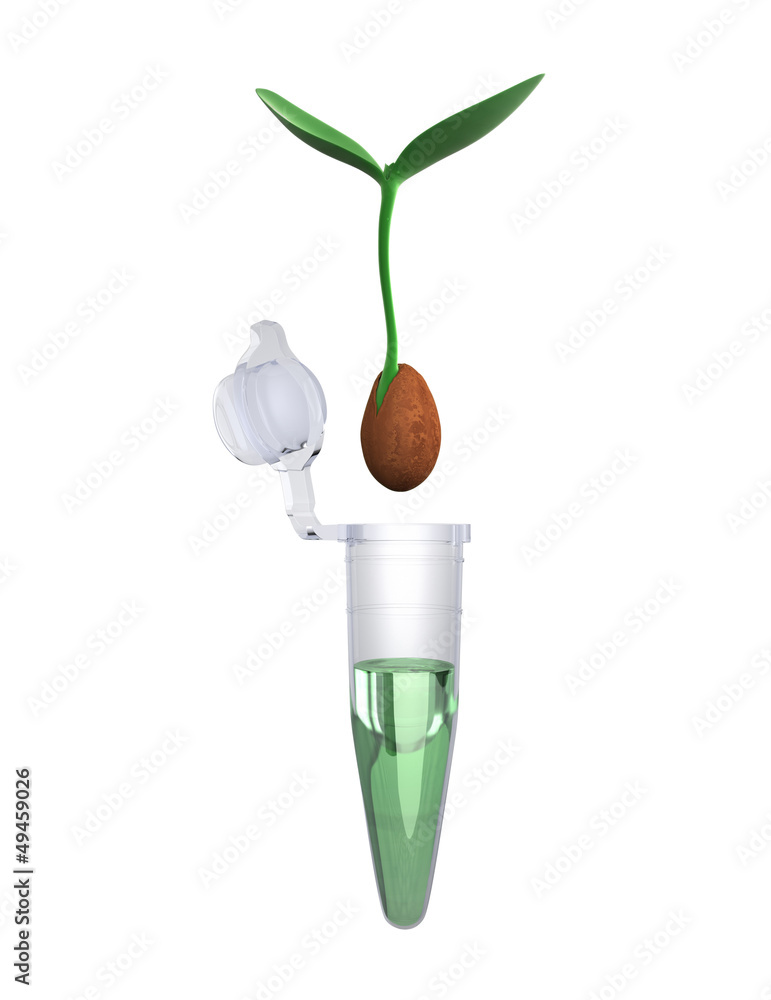 Test Tube and Plant