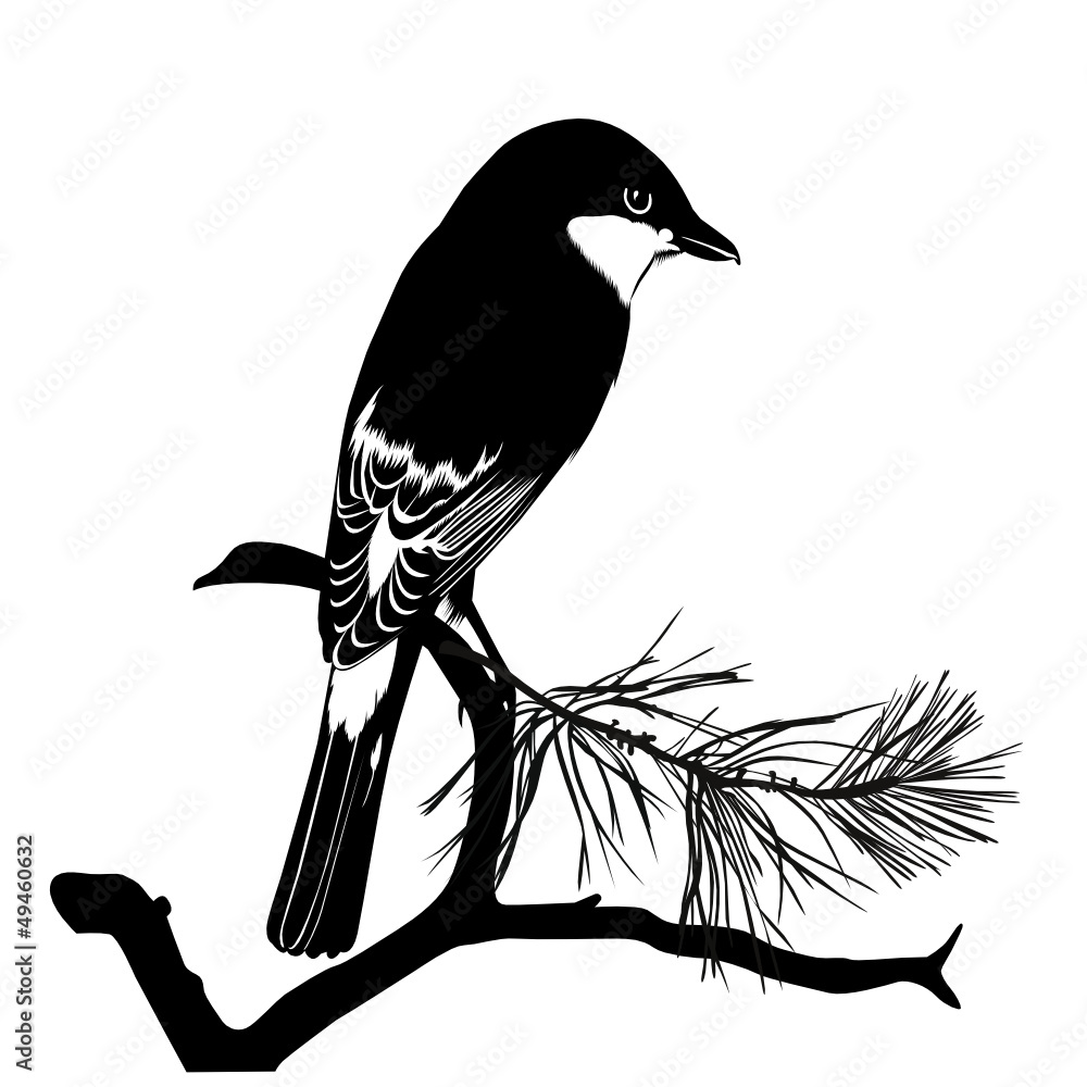 Obraz premium Small bird on a tree branch