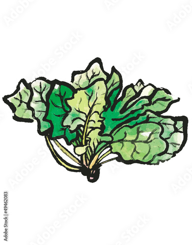 ほうれん草
