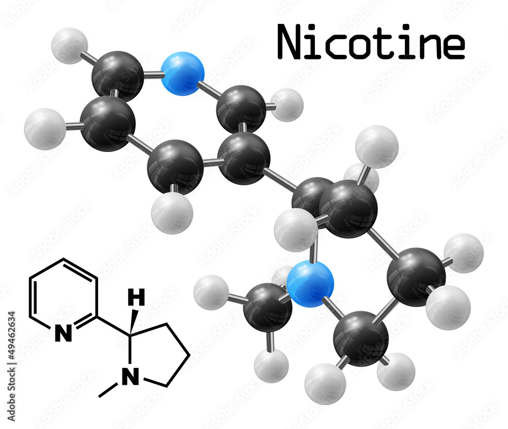 Obraz premium nicotine molecule