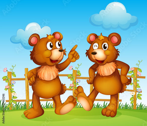 Happy faces of two bears