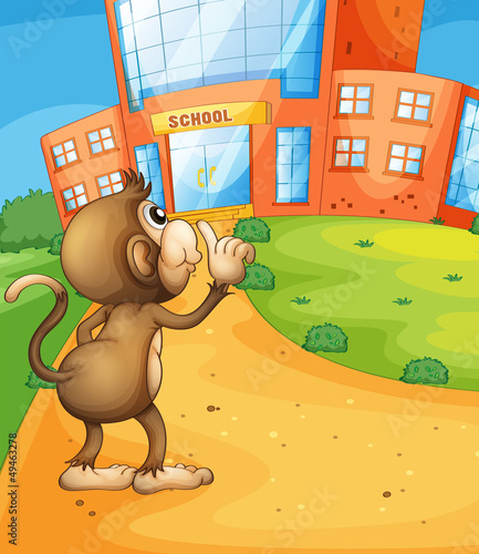 A monkey wondering in front of the school