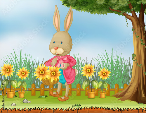 A bunny in the garden with sunflowers