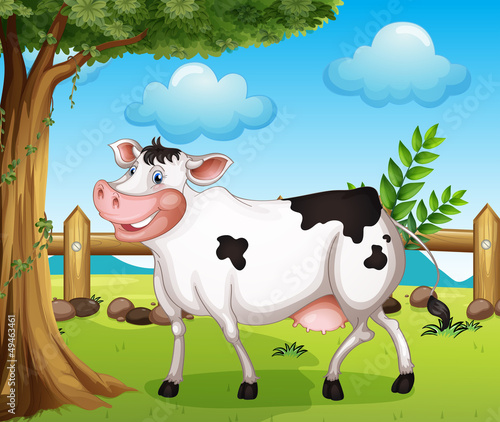 A cow in the backyard