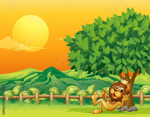 A king lion inside the wooden fence
