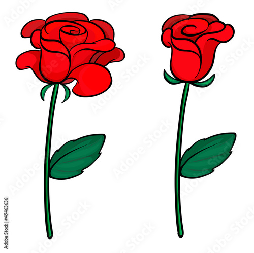 Two red roses