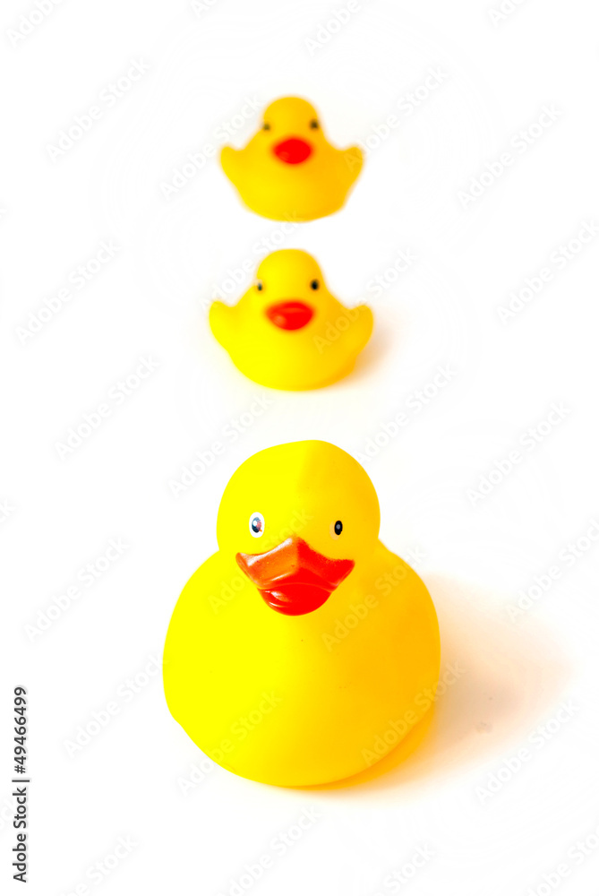 rubber ducks rubber ducks