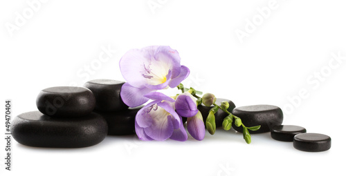Spa stones and purple flower, isolated on white